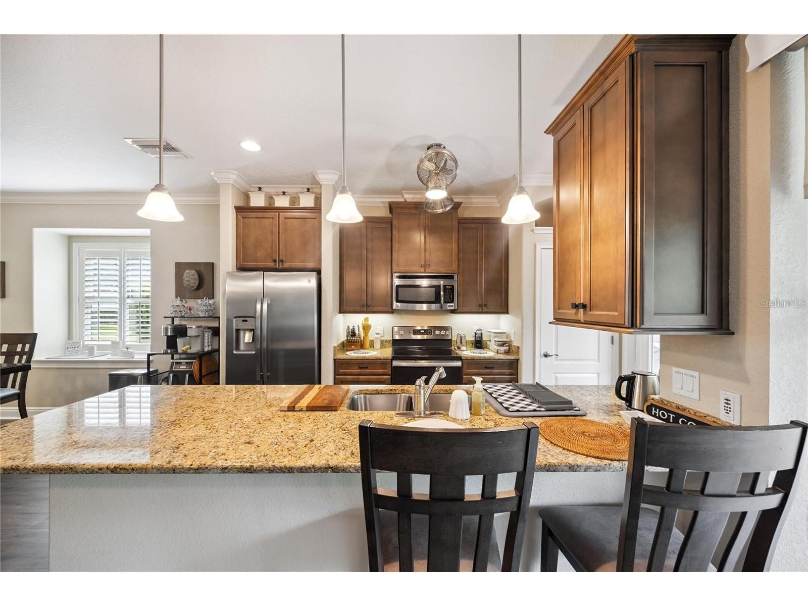 1923 Banning Beach Road Tavares FL 32778 O6397911 image12
