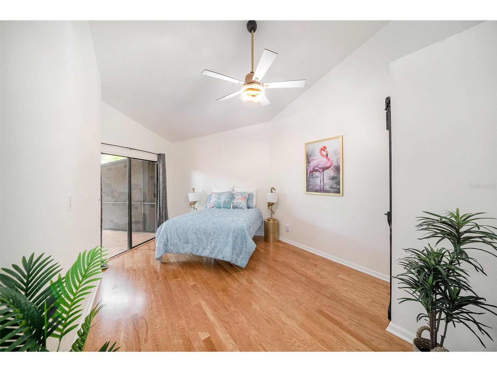 1923 Bayshore Court Safety Harbor FL 34695 TB8517650 image13