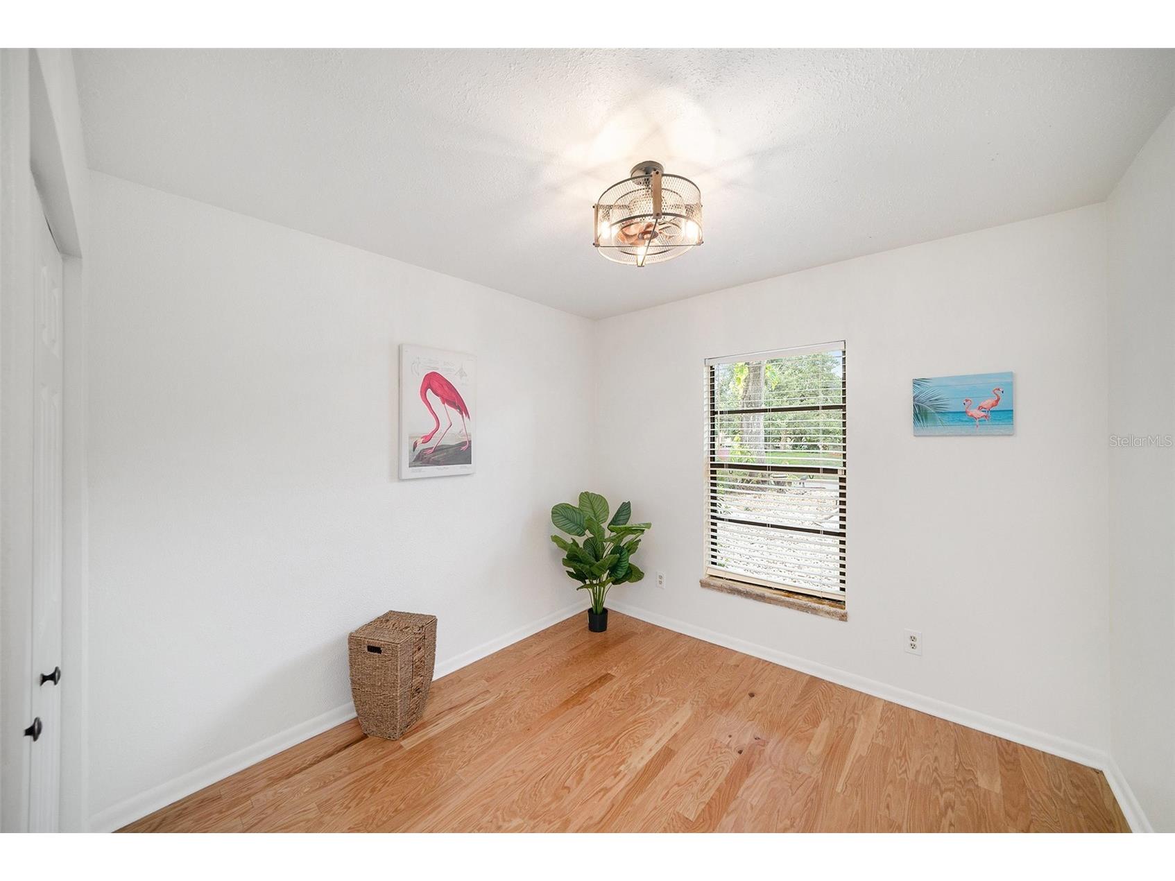 1923 Bayshore Court Safety Harbor FL 34695 TB8517650 image17