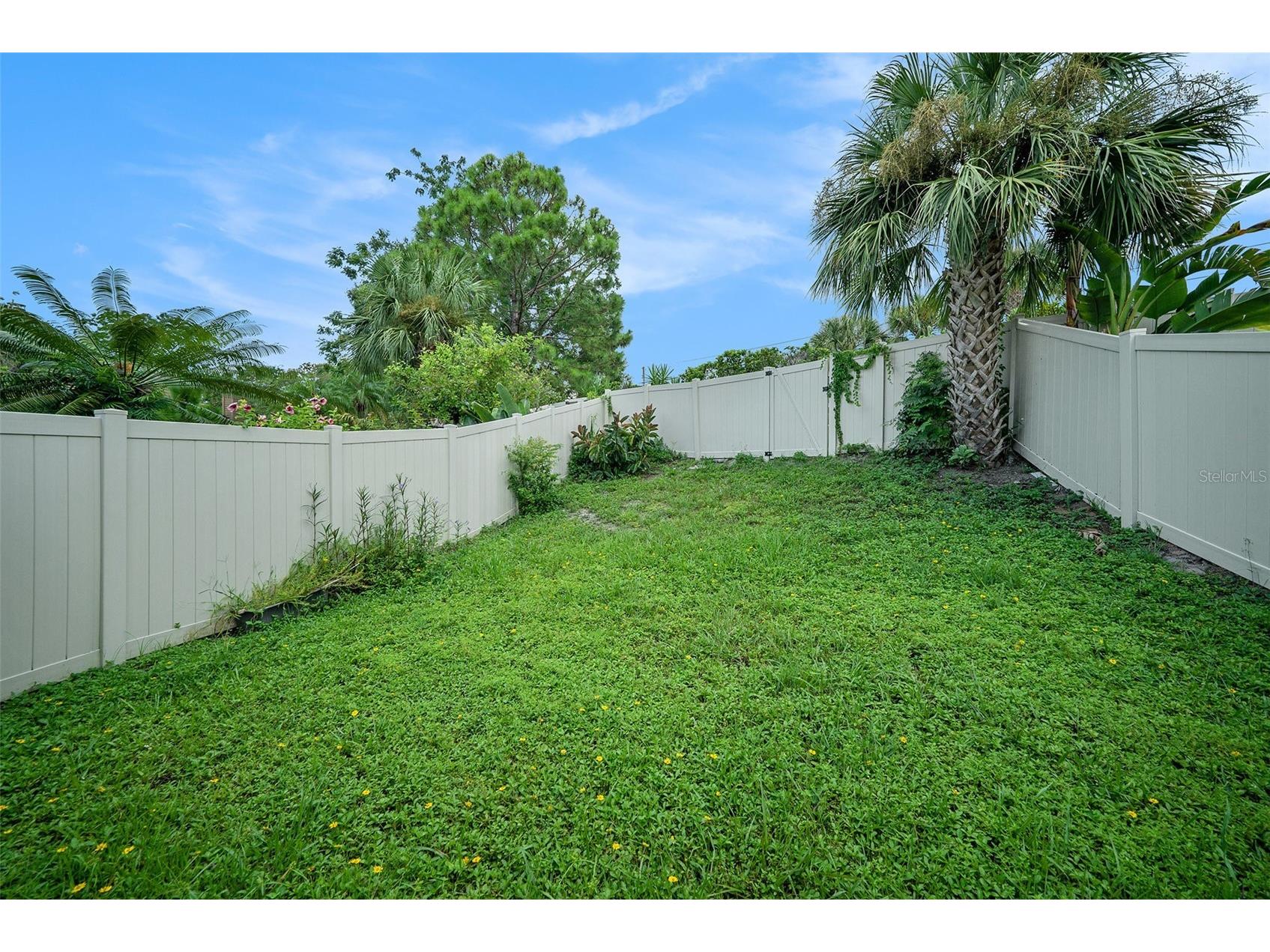 1923 Bayshore Court Safety Harbor FL 34695 TB8517650 image24
