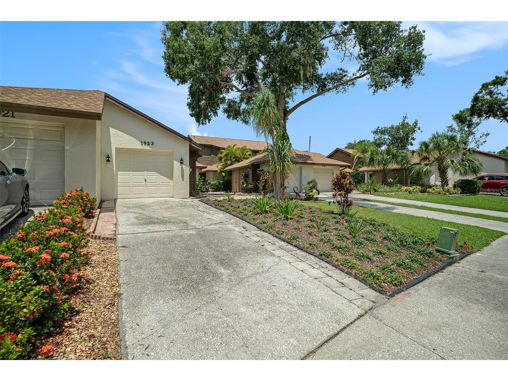 1923 Bayshore Court Safety Harbor FL 34695 TB8517650 image5