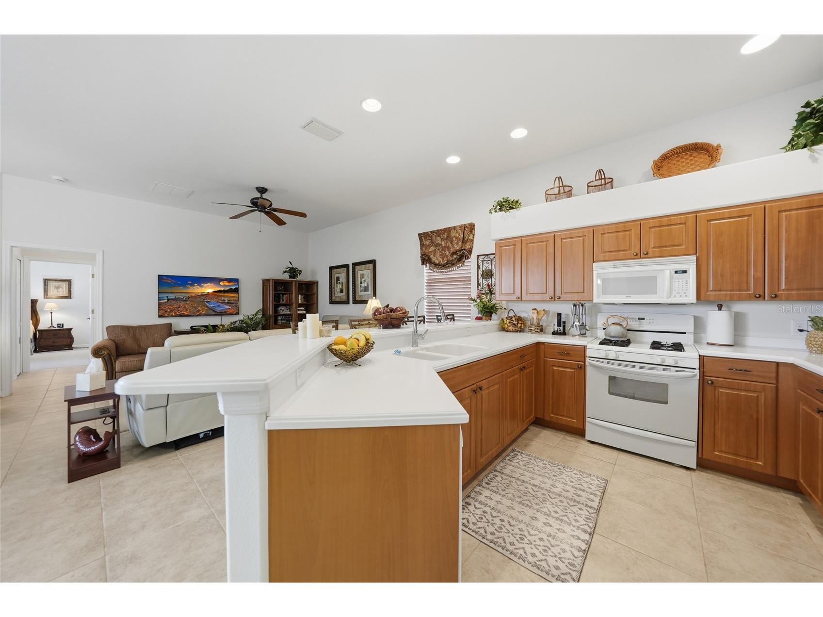 1923 Coconut Palm Circle North Port FL 34288 C7521815 image14