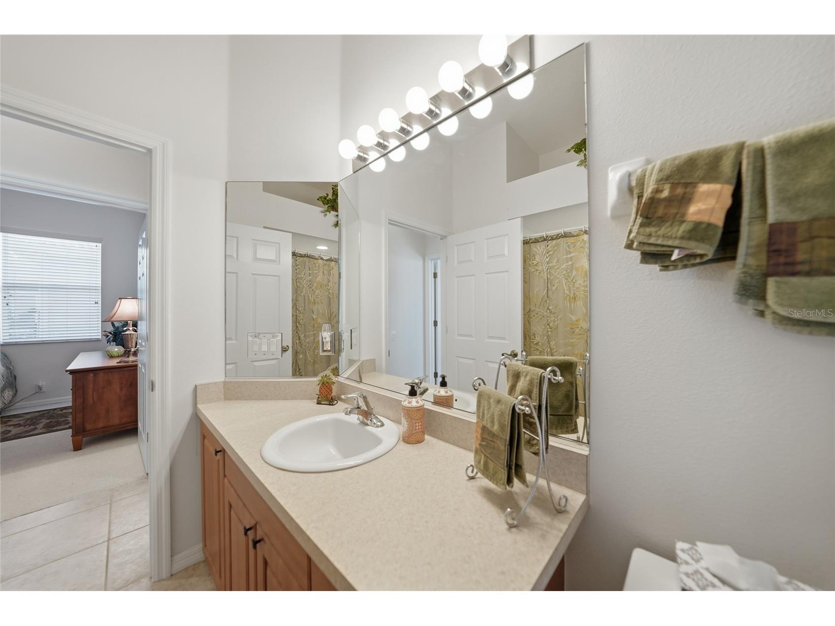 1923 Coconut Palm Circle North Port FL 34288 C7521815 image21