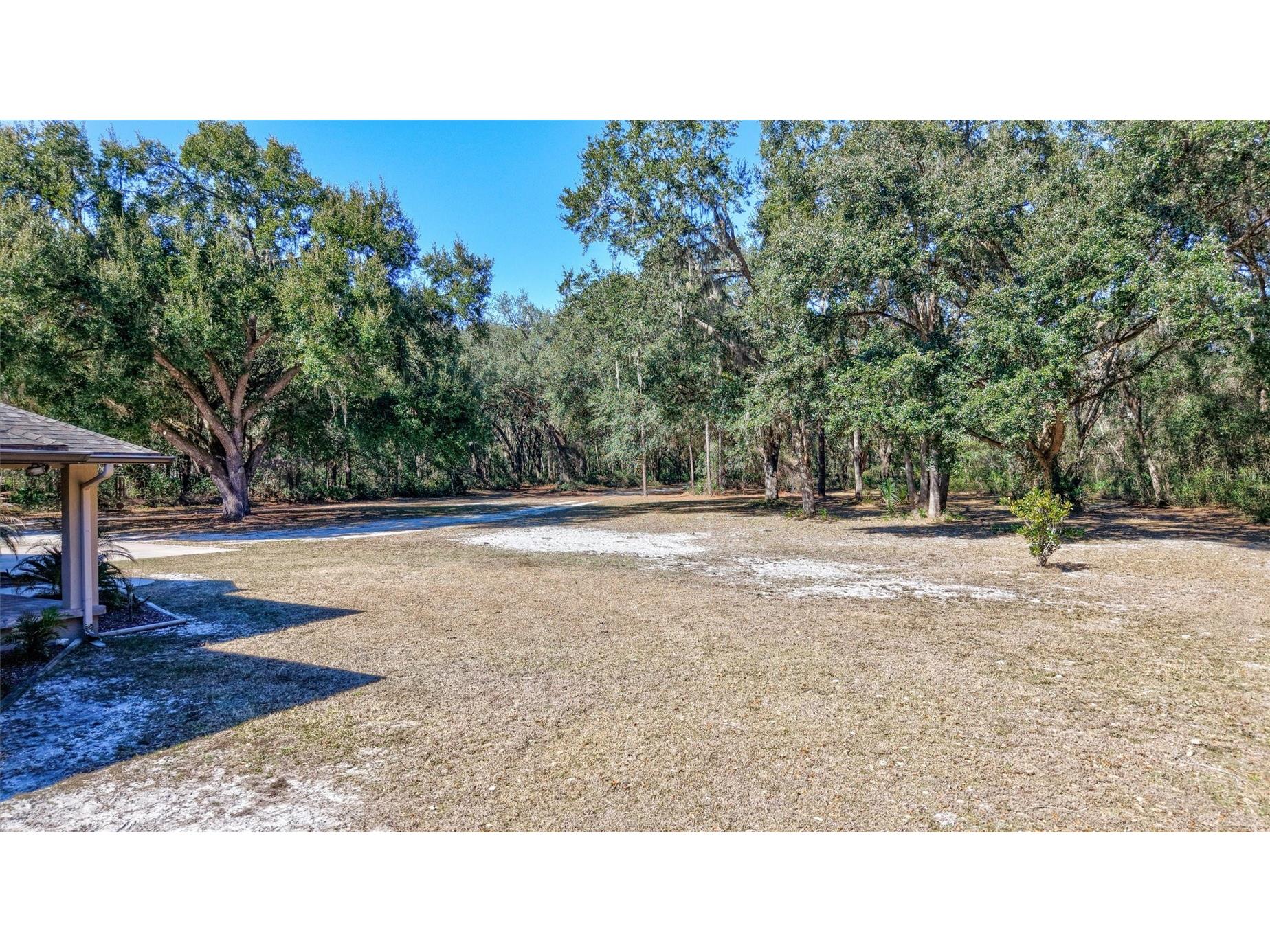 1923 Cr 738 Webster FL 33597 TB8473163 image69