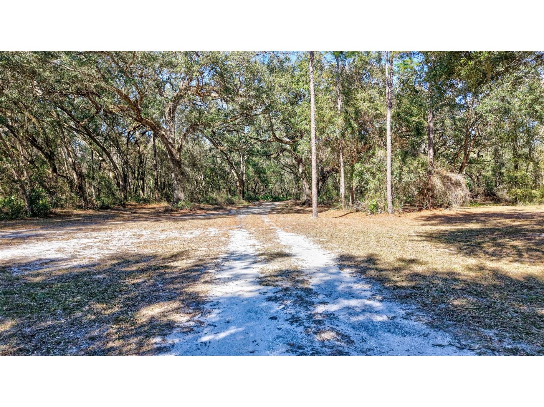 1923 Cr 738 Webster FL 33597 TB8473163 image74