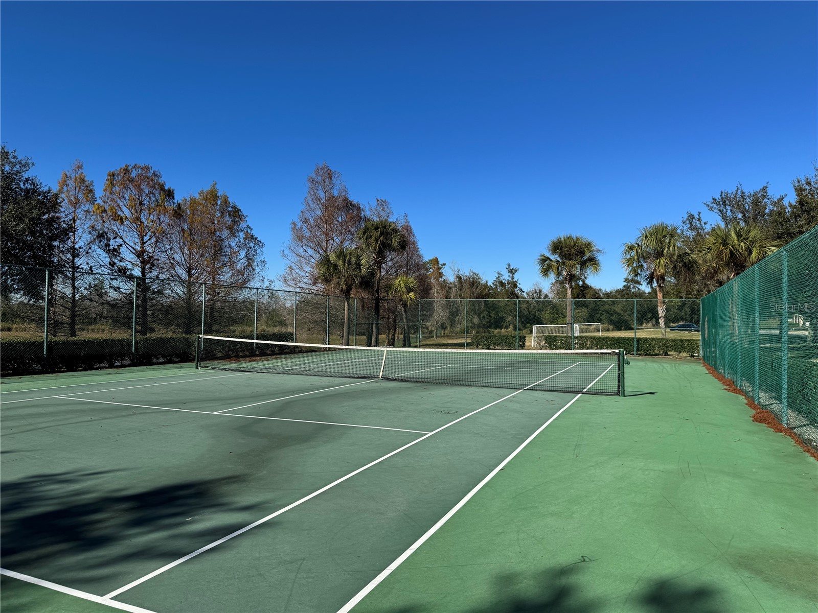 1923 Jean Marie Drive Winter Garden FL 34787 G5106903 image43