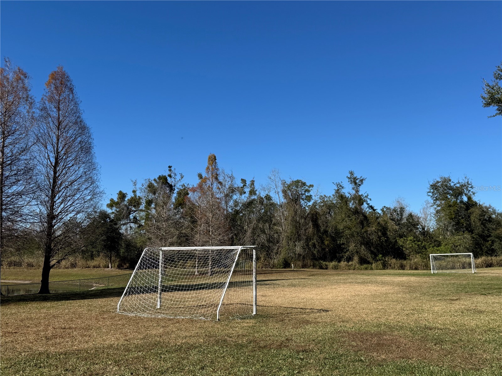 1923 Jean Marie Drive Winter Garden FL 34787 G5106903 image46