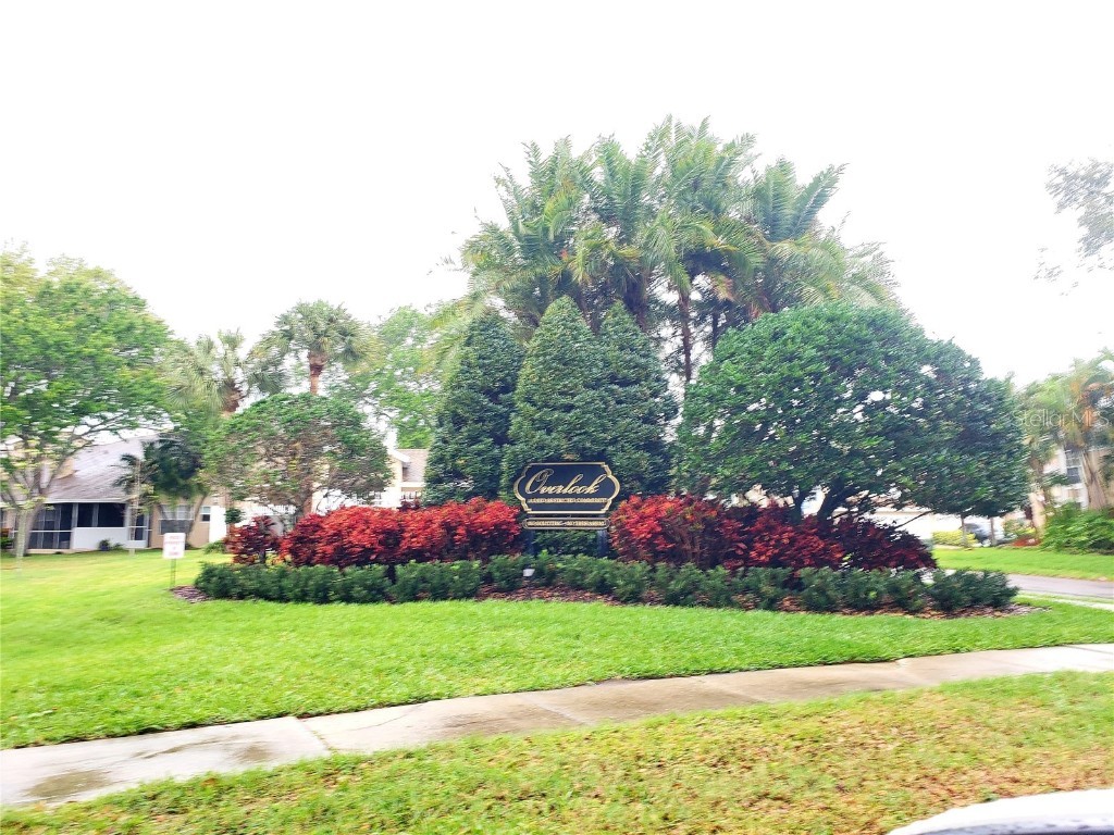 1923 Northfork Circle Clearwater FL 33760 U8155149 image1