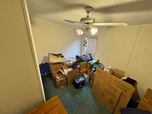 19231 NW Highway 335 Williston FL 32696 OM722042 image21