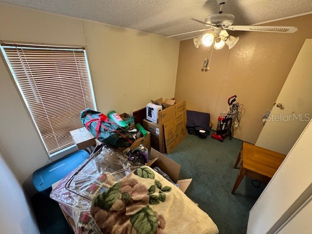 19231 NW Highway 335 Williston FL 32696 OM722042 image22