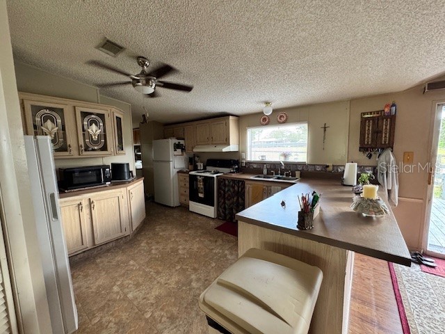 19231 NW Highway 335 Williston FL 32696 OM722042 image9