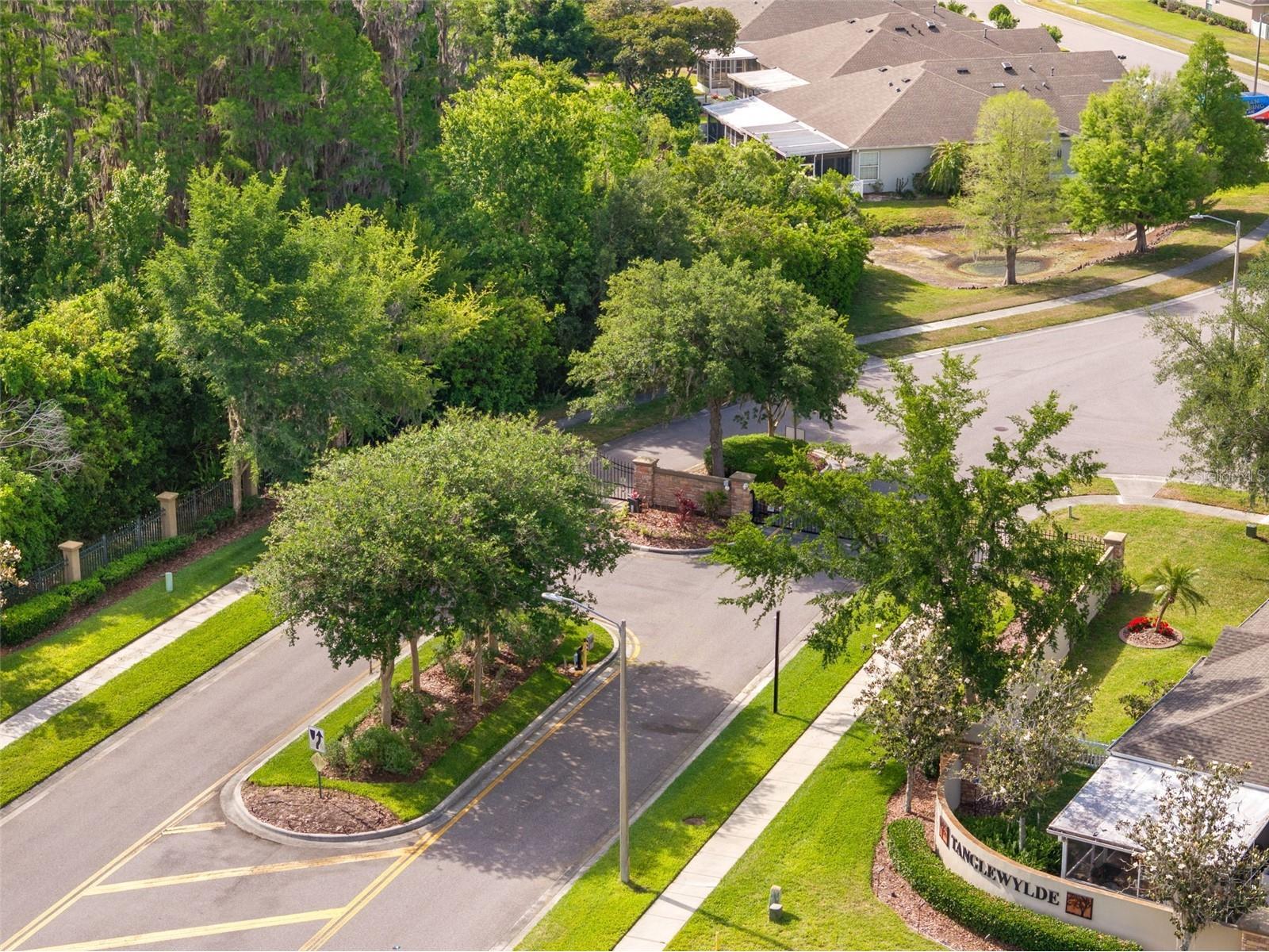19233 Barred Owl Court Land O Lakes FL 34638 O6401615 image23