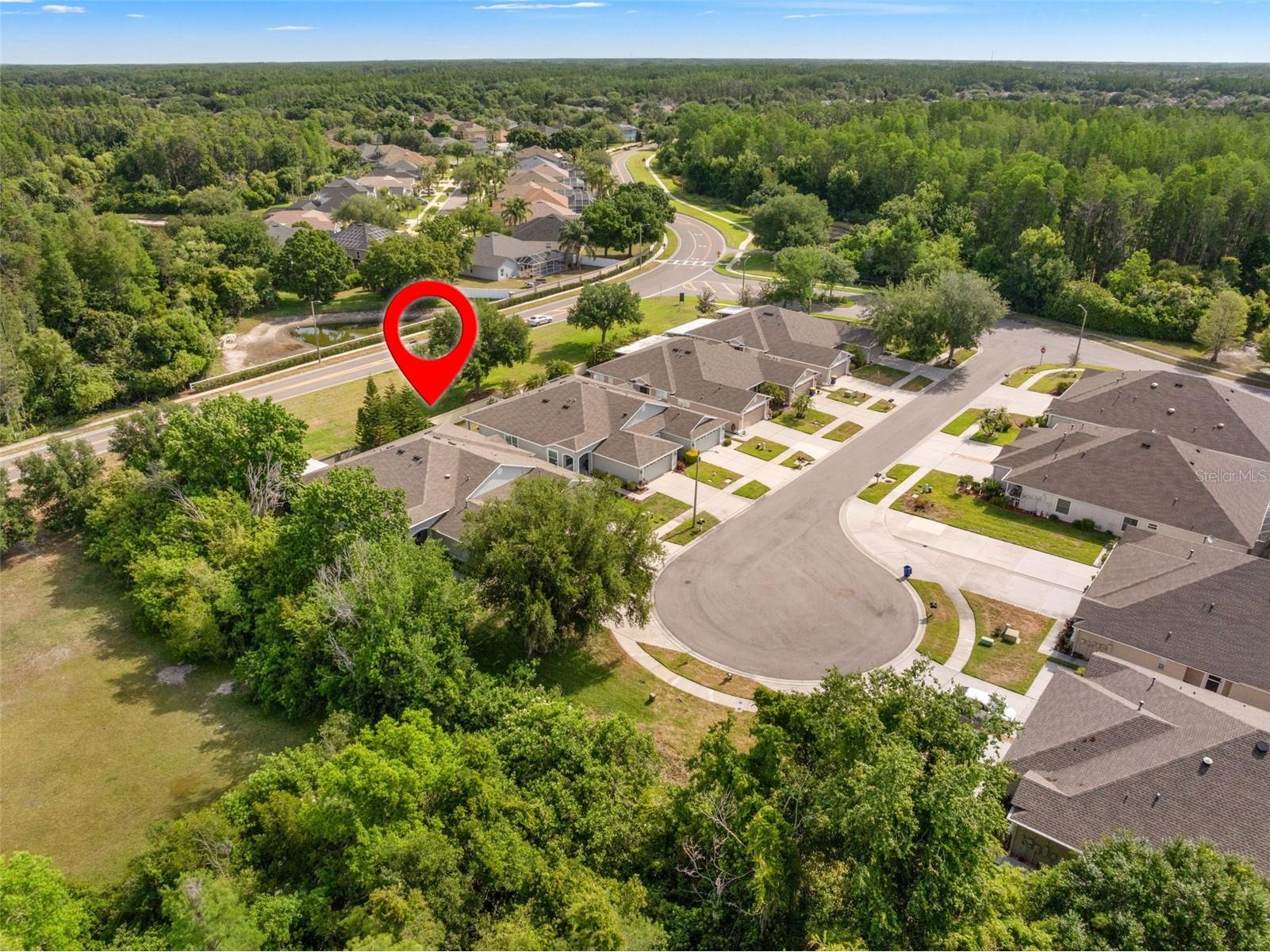 19233 Barred Owl Court Land O Lakes FL 34638 O6401615 image3