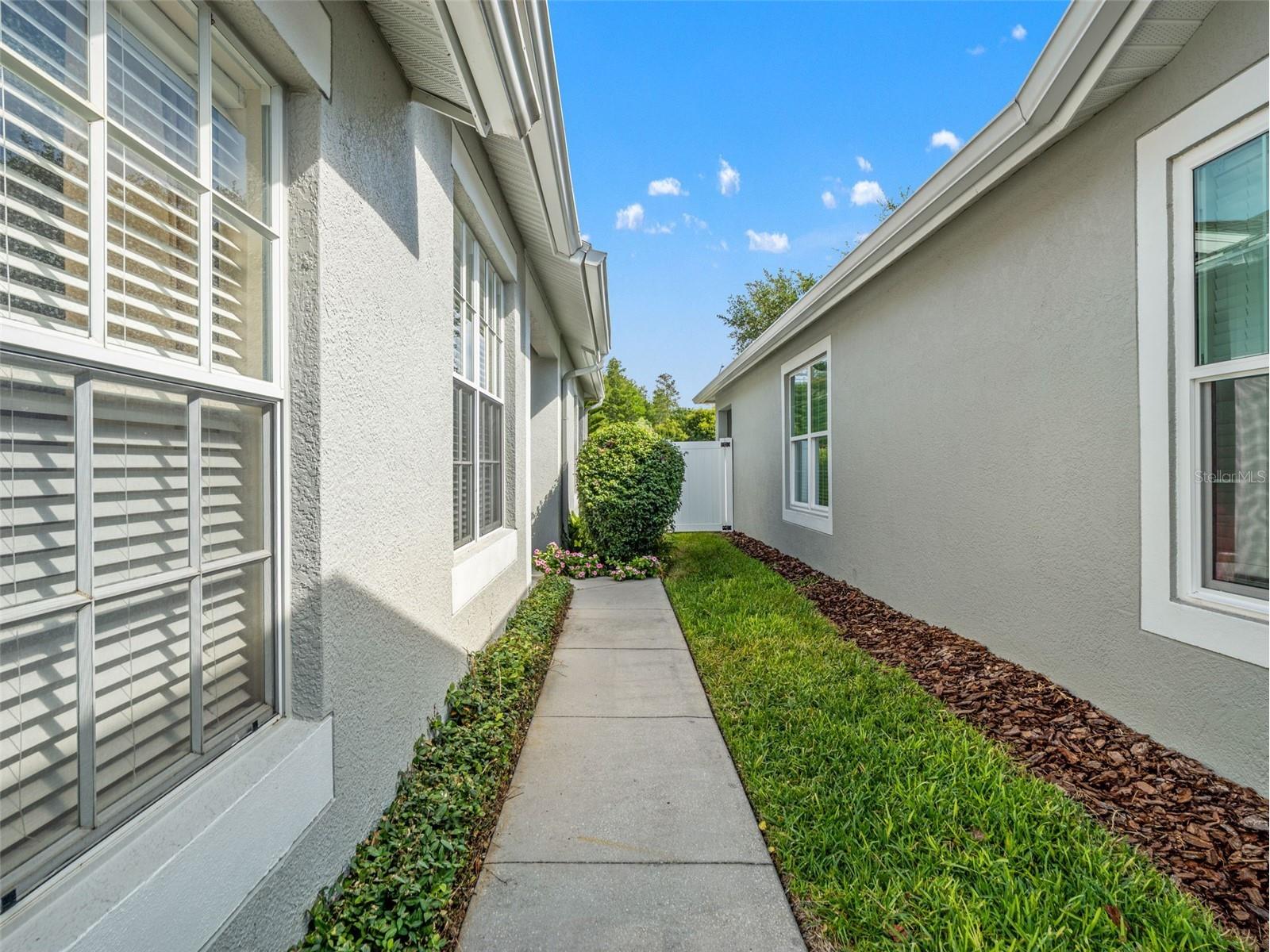 19233 Barred Owl Court Land O Lakes FL 34638 O6401615 image4