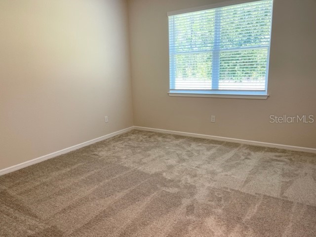 19233 Old Spanish Road Tampa FL 33647 TB8428633 image21