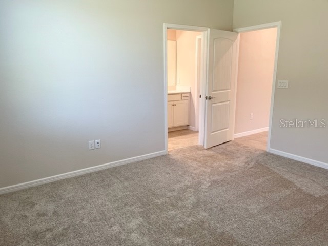 19233 Old Spanish Road Tampa FL 33647 TB8428633 image23