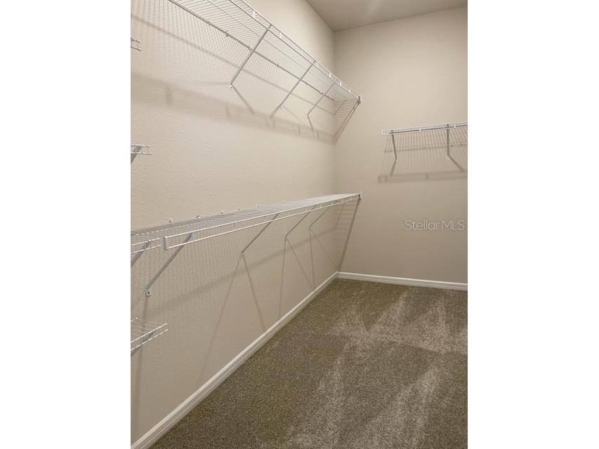 19233 Old Spanish Road Tampa FL 33647 TB8428633 image24