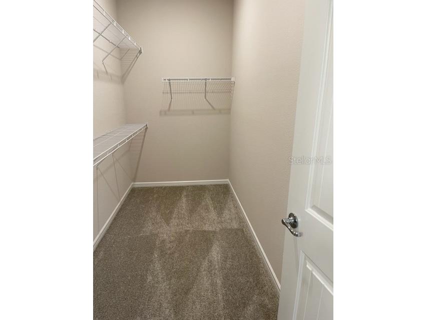 19233 Old Spanish Road Tampa FL 33647 TB8428633 image25