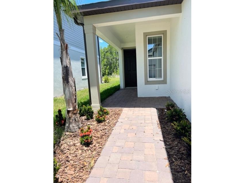 19233 Old Spanish Road Tampa FL 33647 TB8428633 image3