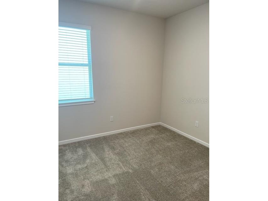 19233 Old Spanish Road Tampa FL 33647 TB8428633 image30