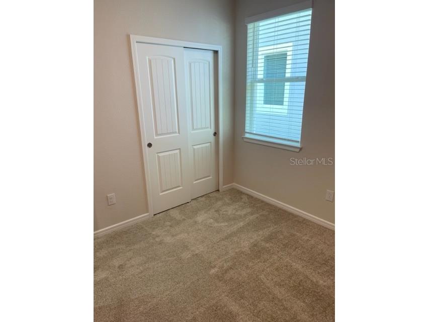 19233 Old Spanish Road Tampa FL 33647 TB8428633 image31