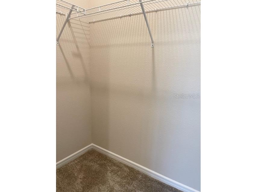 19233 Old Spanish Road Tampa FL 33647 TB8428633 image33