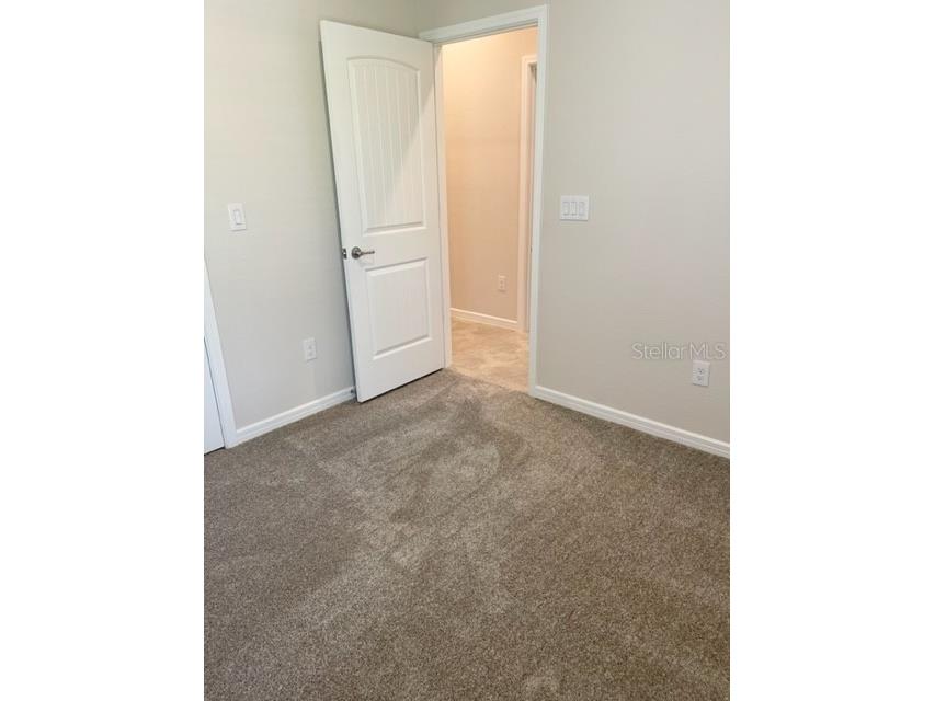 19233 Old Spanish Road Tampa FL 33647 TB8428633 image37