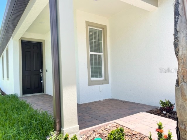 19233 Old Spanish Road Tampa FL 33647 TB8428633 image4