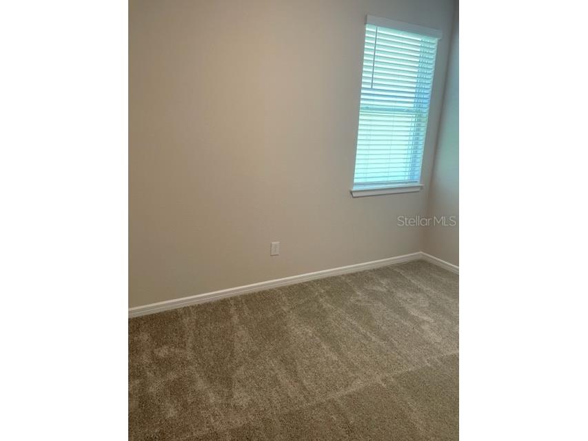 19233 Old Spanish Road Tampa FL 33647 TB8428633 image40