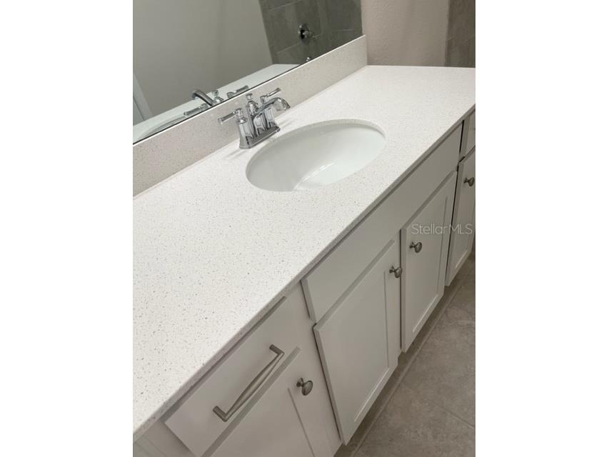 19233 Old Spanish Road Tampa FL 33647 TB8428633 image42