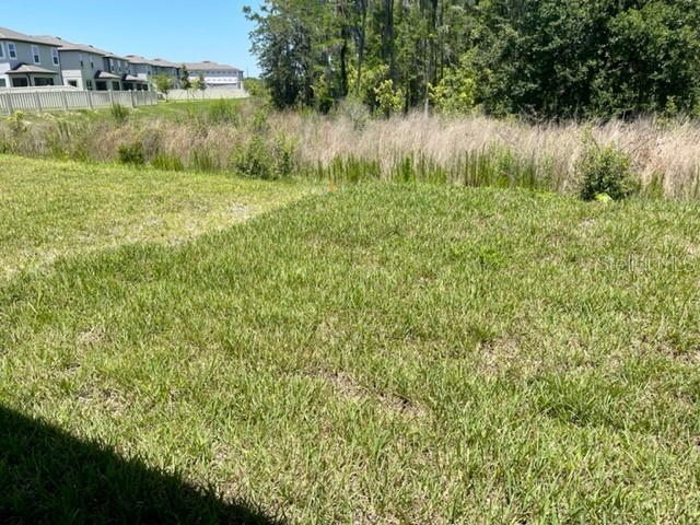 19233 Old Spanish Road Tampa FL 33647 TB8428633 image52