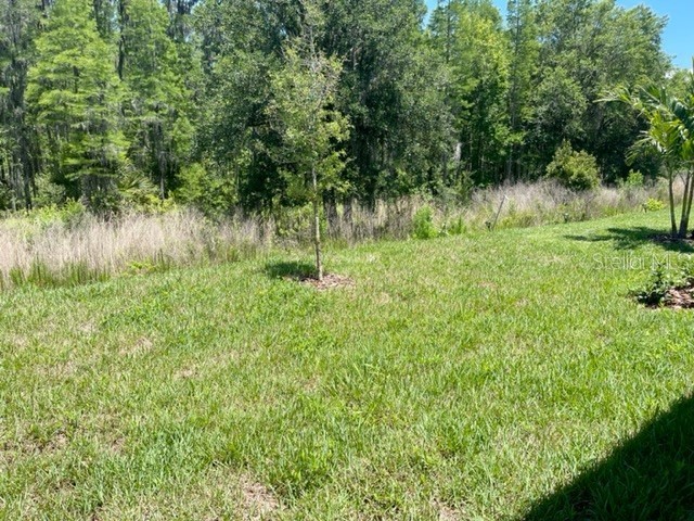 19233 Old Spanish Road Tampa FL 33647 TB8428633 image53