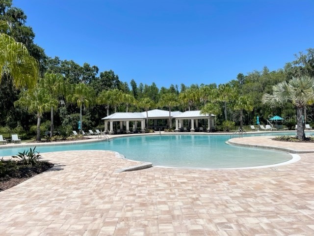 19233 Old Spanish Road Tampa FL 33647 TB8428633 image55