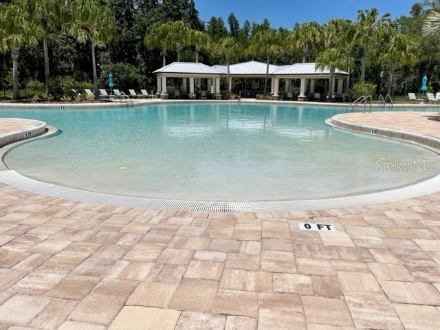 19233 Old Spanish Road Tampa FL 33647 TB8428633 image56