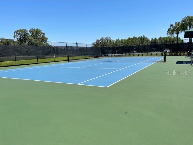 19233 Old Spanish Road Tampa FL 33647 TB8428633 image60