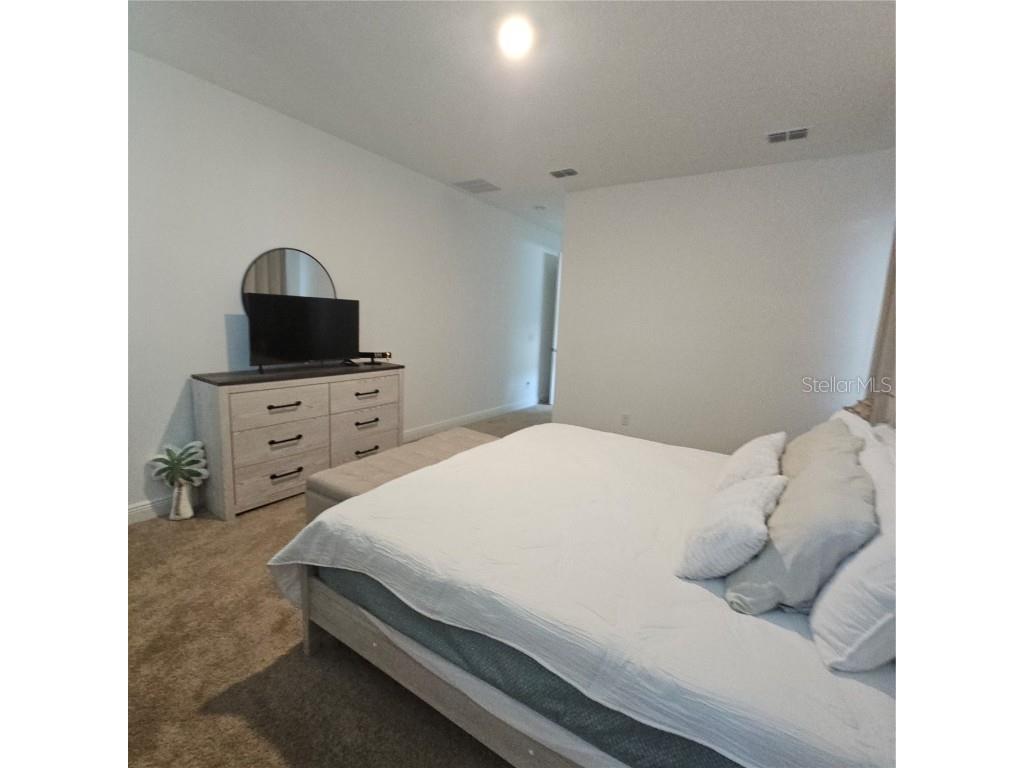 19235 Allium Place Orlando FL 32827 S5126278 image21