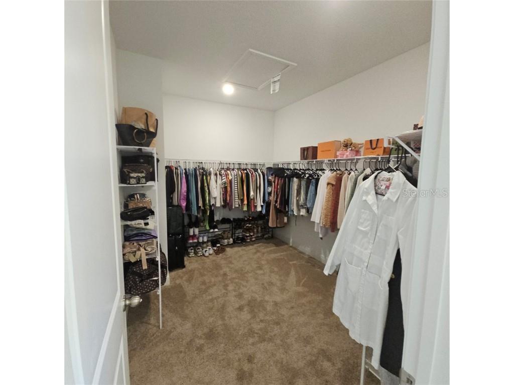 19235 Allium Place Orlando FL 32827 S5126278 image23