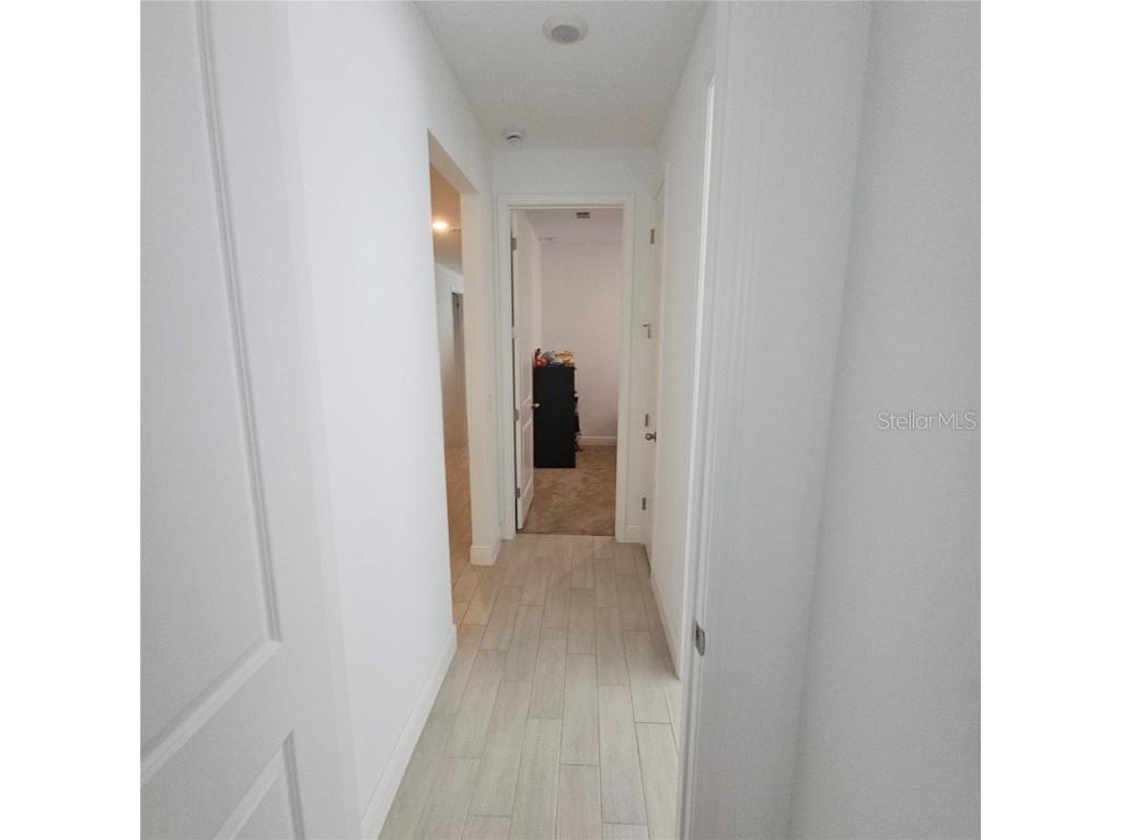 19235 Allium Place Orlando FL 32827 S5126278 image33