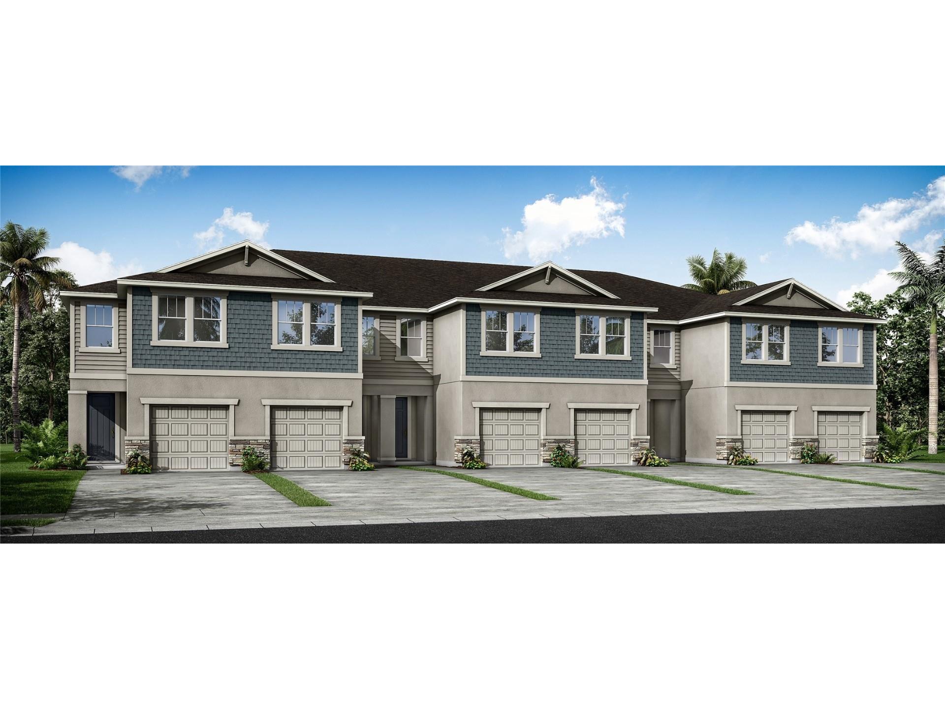 19236 Blue Pond Drive Lutz FL 33559 T3493243 image1