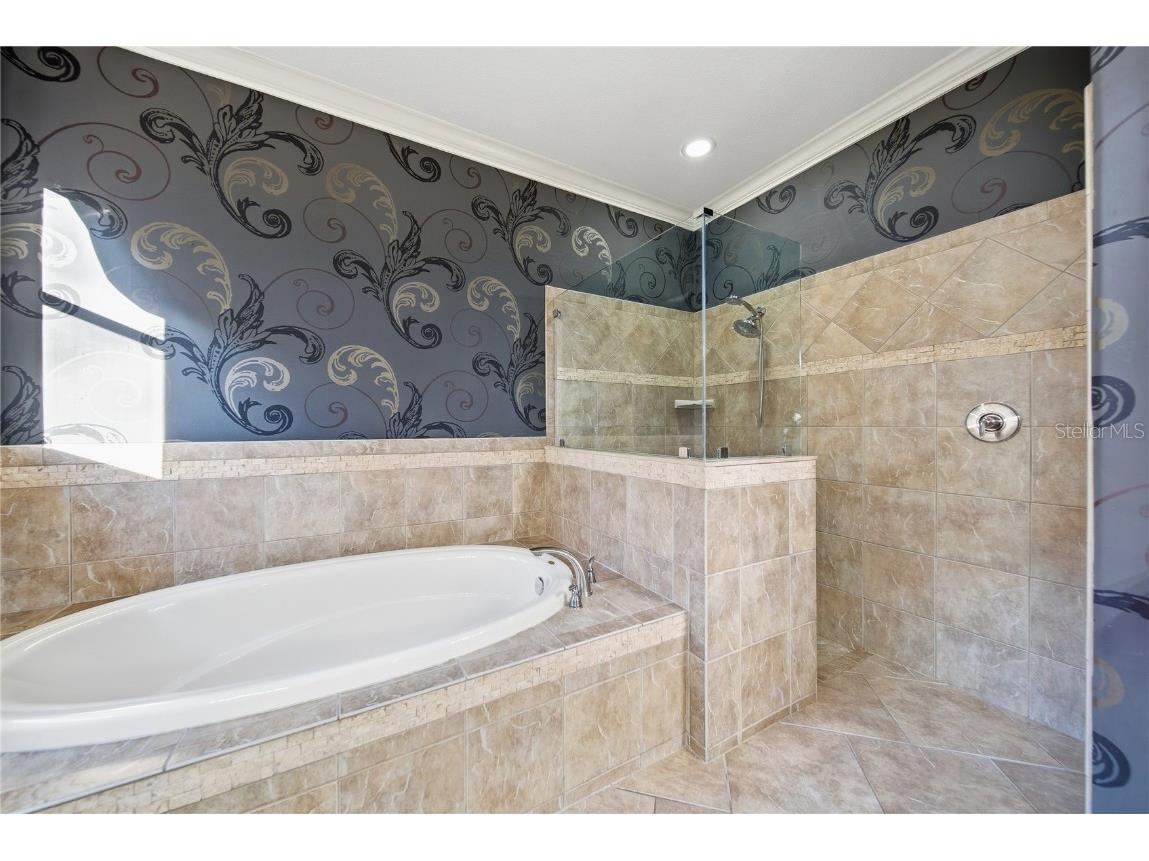 19238 Climbing Aster Drive Tampa FL 33647 TB8444933 image23