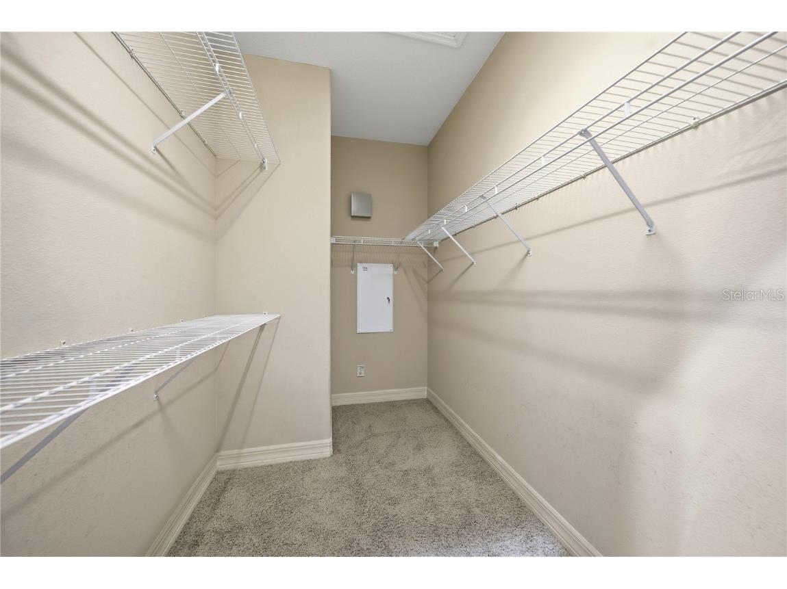 19238 Climbing Aster Drive Tampa FL 33647 TB8444933 image24