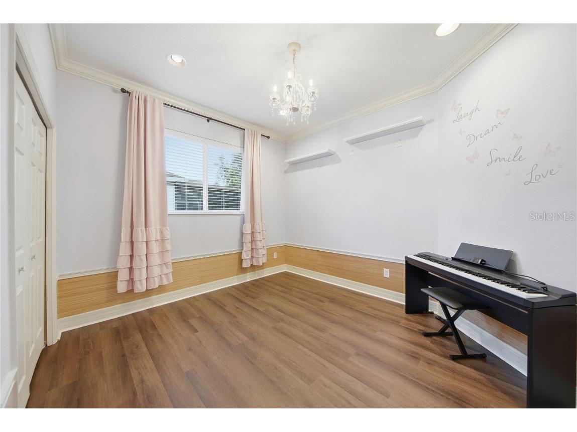 19238 Climbing Aster Drive Tampa FL 33647 TB8444933 image25