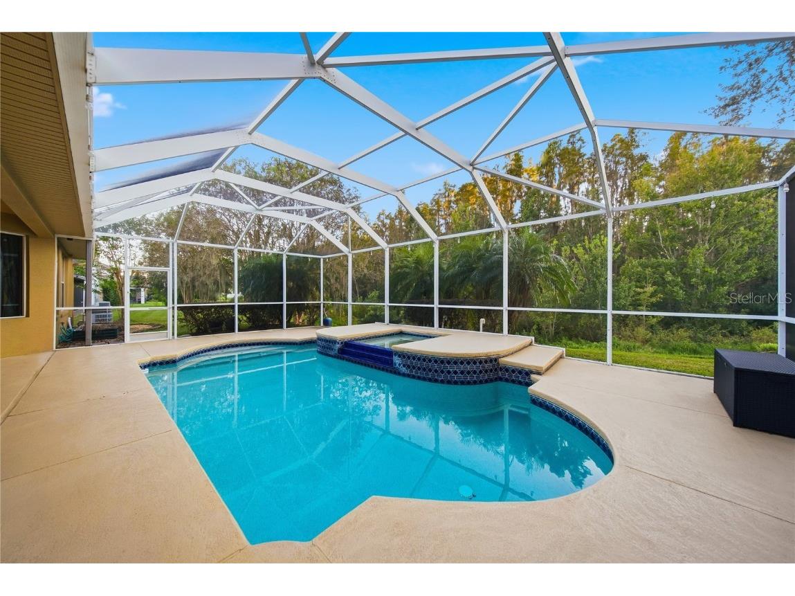 19238 Climbing Aster Drive Tampa FL 33647 TB8444933 image3