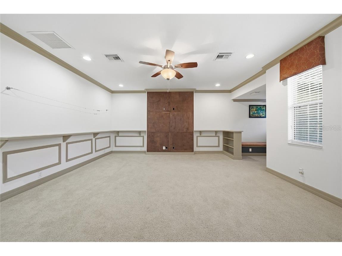 19238 Climbing Aster Drive Tampa FL 33647 TB8444933 image32