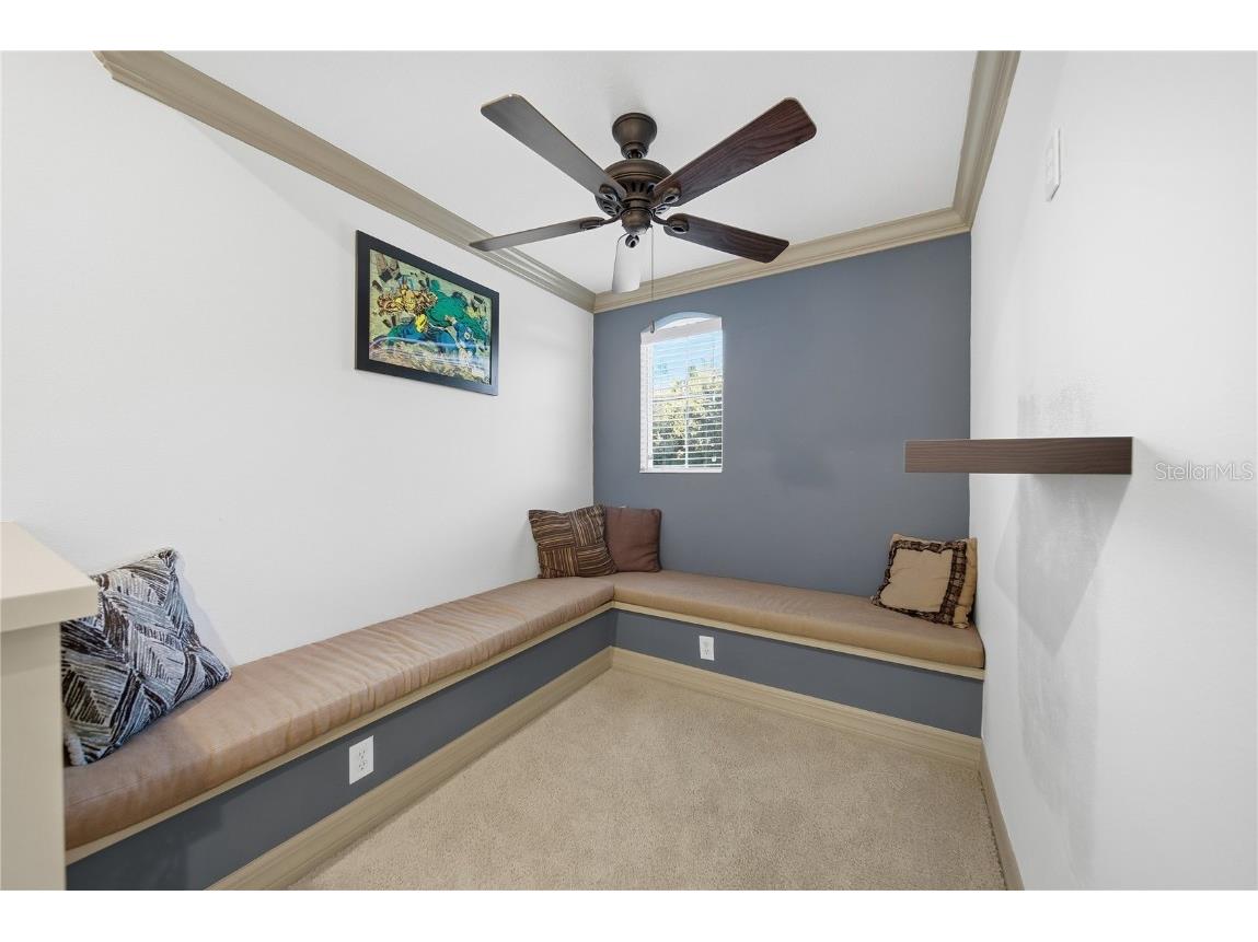 19238 Climbing Aster Drive Tampa FL 33647 TB8444933 image33