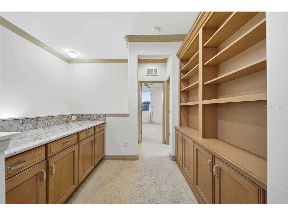 19238 Climbing Aster Drive Tampa FL 33647 TB8444933 image35