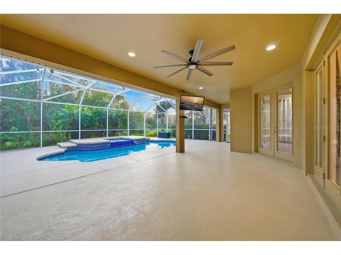 19238 Climbing Aster Drive Tampa FL 33647 TB8444933 image39