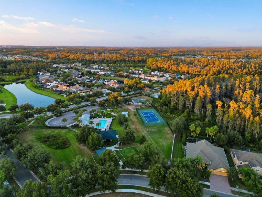 19238 Climbing Aster Drive Tampa FL 33647 TB8444933 image42