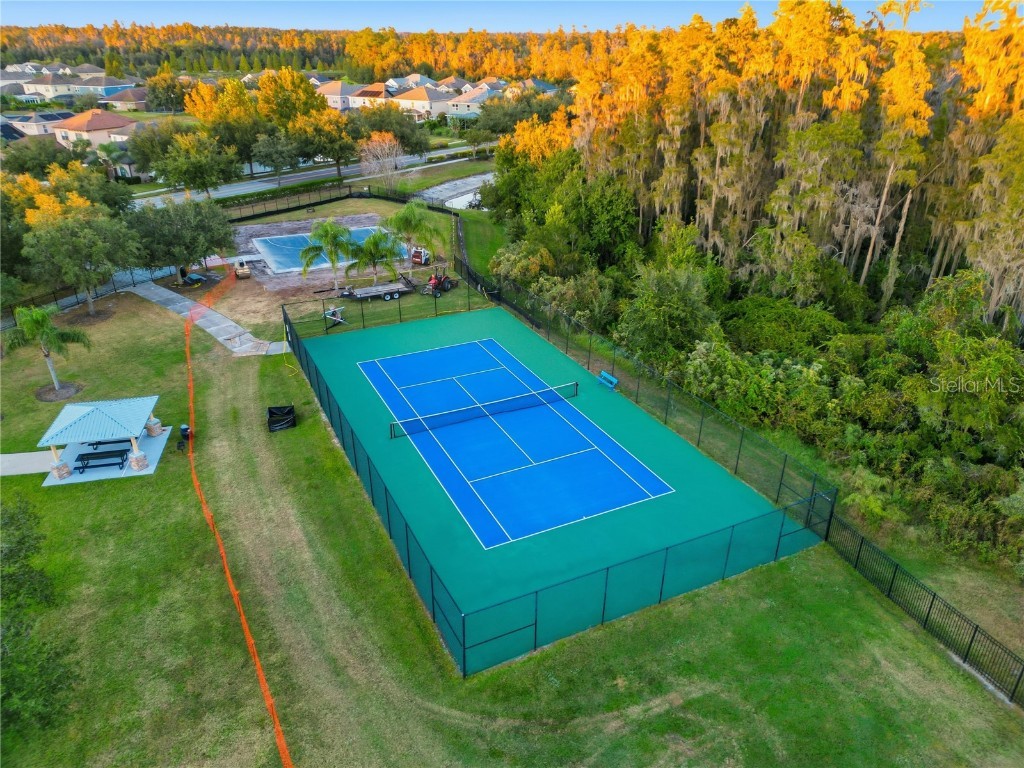 19238 Climbing Aster Drive Tampa FL 33647 TB8444933 image43