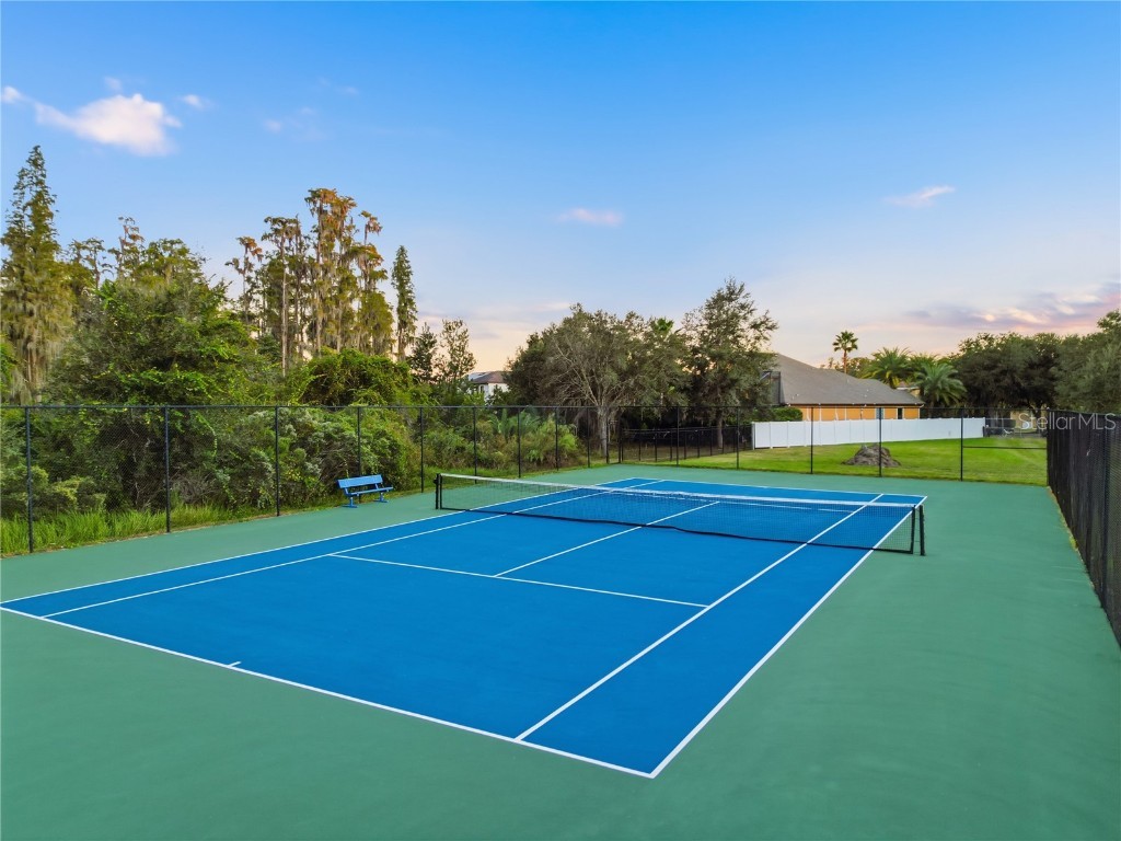 19238 Climbing Aster Drive Tampa FL 33647 TB8444933 image46